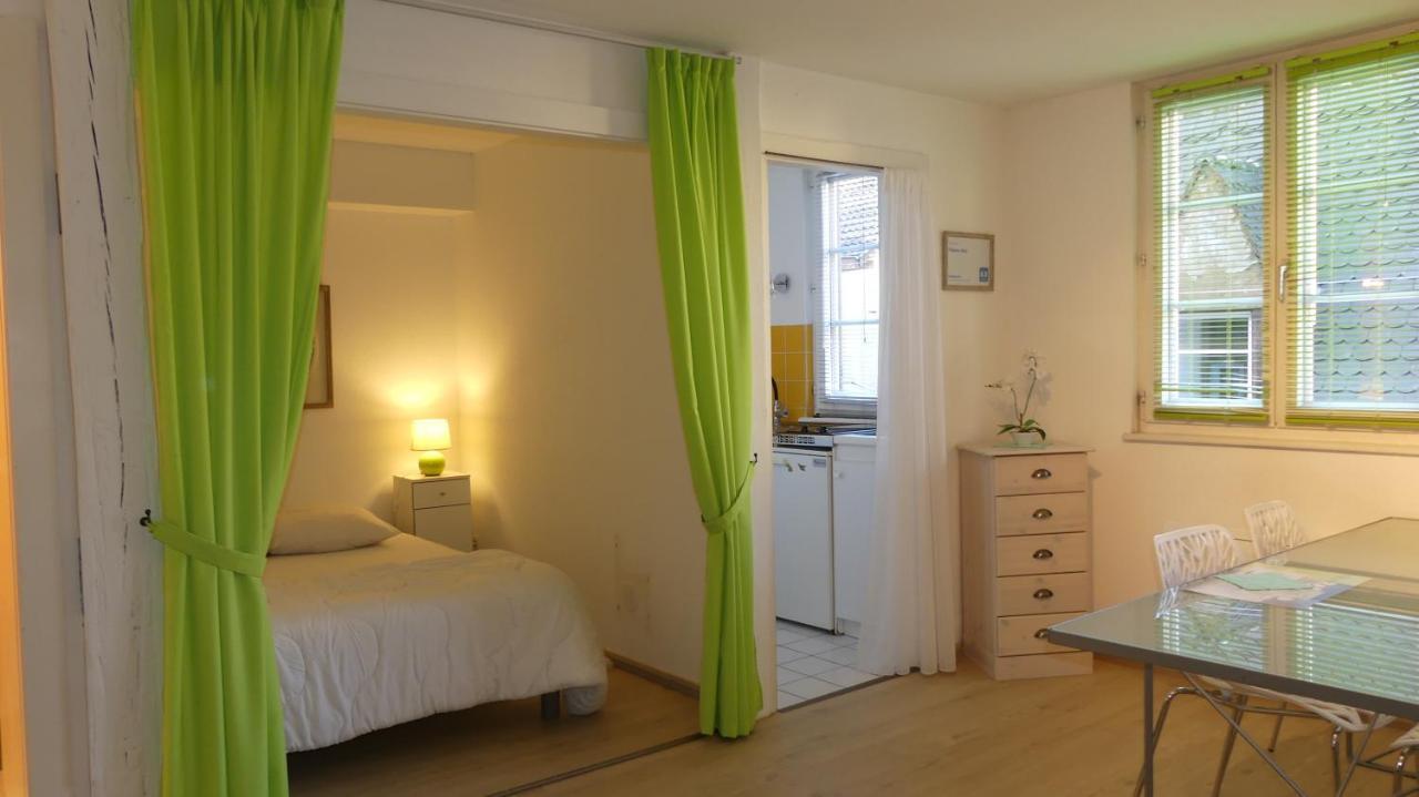 Apartment Tripiers Anis Colmar